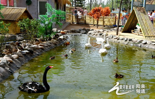 助力冬奧丨華北奕豐生態(tài)園戲雪樂(lè)園即將開(kāi)園，生態(tài)旅游與冰雪運(yùn)動(dòng)完美融合