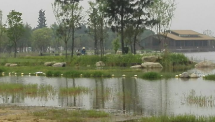 勝地公園 吳江最大的生態園，自然與人文的完美融合