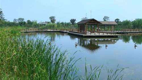 國慶樂游 上海出發，千燈古鎮與大唐生態園一日探幽之旅
