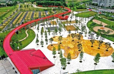 綠網織城，公園筑夢 260座公園星羅棋布，繪就生態光明新畫卷